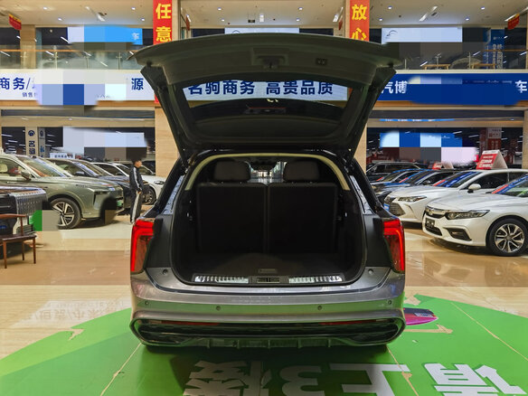 2021 Hongqi E-HS9 120 kWh, серый, 5500000 рублей - вид 16