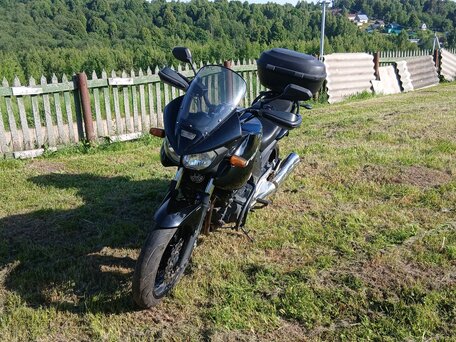 2009 Yamaha TDM900, чёрный, 300000 рублей, вид 4