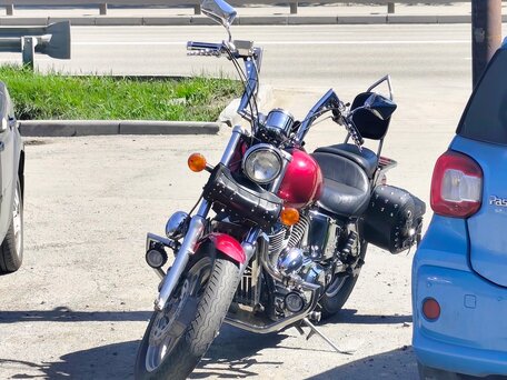 2006 Honda VT 1100, пурпурный, 475000 рублей, вид 1