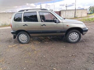 2007 Chevrolet Niva I, серый, 410000 рублей, вид 2