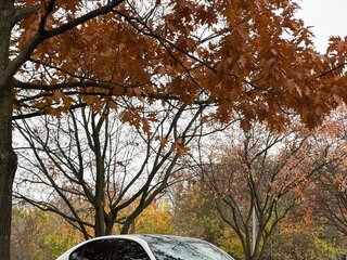 2023 Alfa Romeo Giulia II (952) Рестайлинг, белый, 4600000 рублей, вид 3