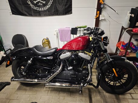 2019 Harley-Davidson Sportster 1200, пурпурный, 1200000 рублей, вид 5