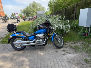 2007 Honda Shadow 750, синий, 623000 рублей, вид 4