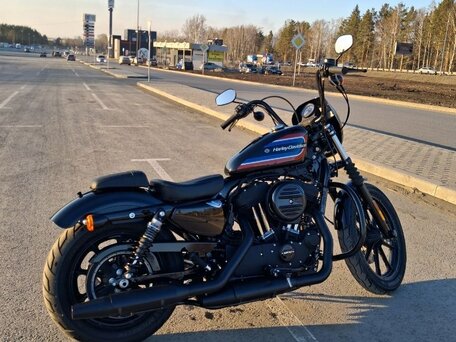 2019 Harley-Davidson Sportster 1200, чёрный, 1250000 рублей, вид 5