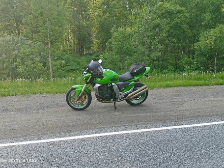 2002 Kawasaki Z 1000, зелёный, 490000 рублей, вид 1
