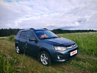 2015 Lada (ВАЗ) Kalina Cross II, серый, 490000 рублей, вид 4