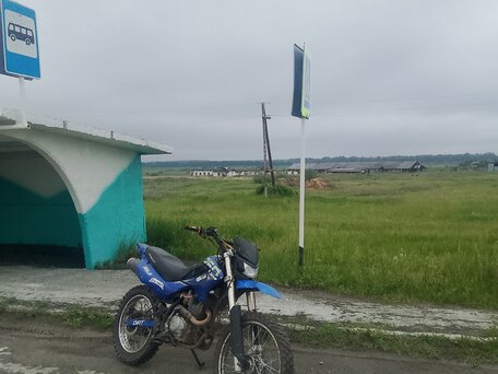 2014 Wels ZT250-XT, синий, 70000 рублей, вид 5