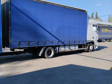 2005 DAF XF 95, синий, 3300000 рублей, вид 5