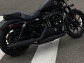 2019 Harley-Davidson Sportster 883, чёрный, 635000 рублей - вид 4