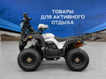 2026 Другие Мотовездеходы (другие), чёрный, 137700 рублей - вид 2