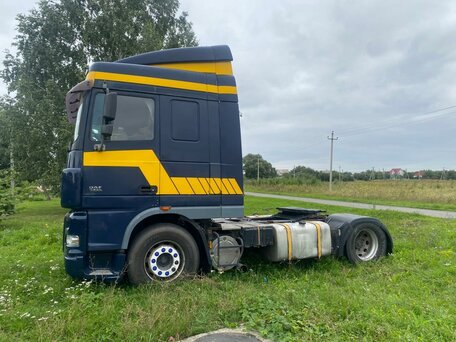 2003 DAF XF, синий, 2000000 рублей, вид 3