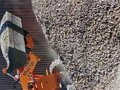 2026 ASV RC-85, жёлтый, 360000 рублей - вид 8