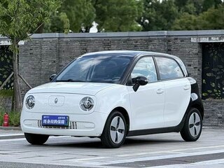 2022 Ora Black Cat 34.9 kWh, белый, 980000 рублей, вид 2