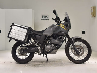 2013 Yamaha XT660Z Tenere, серый, 730000 рублей, вид 1