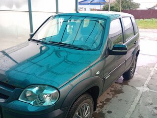 2011 Chevrolet Niva I Рестайлинг, серый, 310000 рублей, вид 2