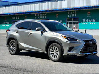 2023 Lexus NX 200 II, серый, 3900123 рублей, вид 3