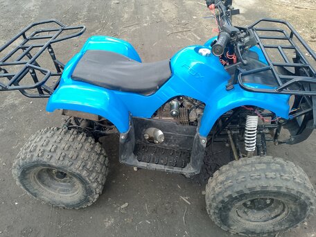 2023 Motoland ATV 125 Fox, синий, 75000 рублей, вид 5
