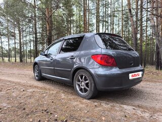 2007 Peugeot 307 I Рестайлинг, серый, 375000 рублей, вид 1