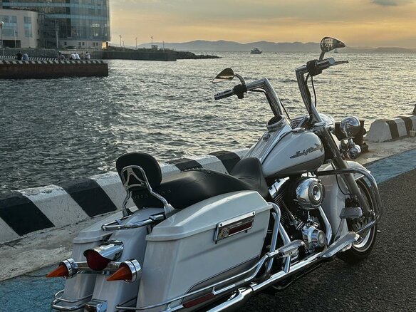 2008 Harley-Davidson Road King, белый, 1100000 рублей - вид 28