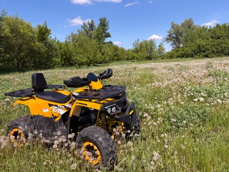 2020 Motoland Wild Track 200, жёлтый, 100000 рублей, вид 4