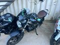 2025 Suzuki SV 650, зелёный - вид 11