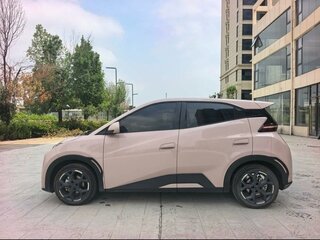2024 BYD Seagull 38.88 kWh I, розовый, 1520000 рублей, вид 5