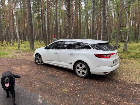 2017 Renault Megane IV, белый, 1200000 рублей - вид 9