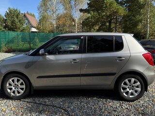 2009 Skoda Fabia II, серый, 630000 рублей, вид 2