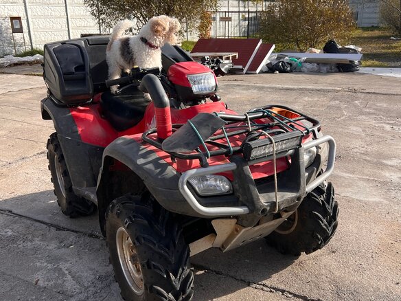 2008 Honda TRX 500 (Foreman), красный - вид 16