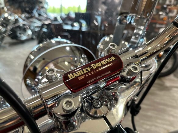 2023 Harley-Davidson Heritage, пурпурный - вид 9