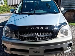 2001 Toyota Nadia, серый, 850000 рублей, вид 1