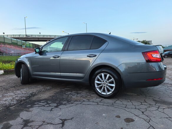 2019 Skoda Octavia III (A7) Рестайлинг, серый - вид 15