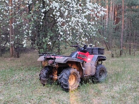 2000 Yamaha Grizzly 660, красный, 400000 рублей, вид 4