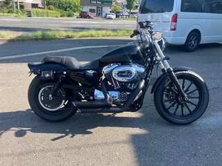 2008 Harley-Davidson Sportster 1200, чёрный, 533000 рублей, вид 1