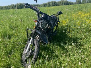 2024 Minsk (Минск) Ranger 200, чёрный, 135000 рублей, вид 5