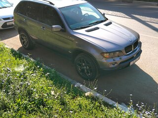 2004 BMW X5 4.4i I (E53) Рестайлинг, серый, 600000 рублей, вид 1