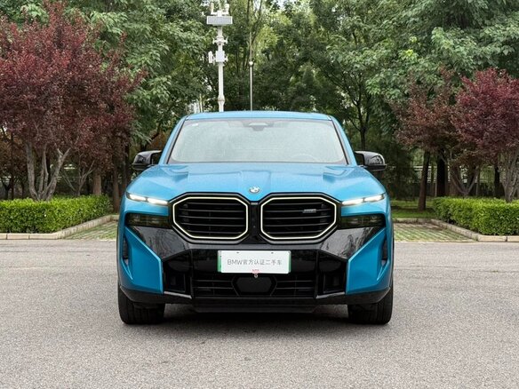 2024 BMW XM 50e, голубой, 18888666 рублей - вид 1