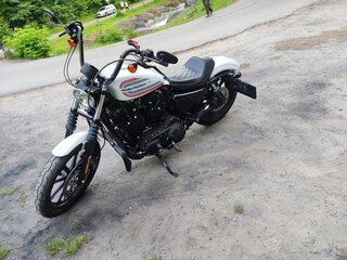 2021 Harley-Davidson Sportster 1200, белый, 899000 рублей, вид 3