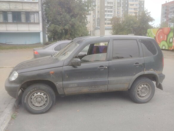 2006 Chevrolet Niva I, синий, 250000 рублей - вид 3