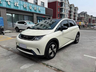 2025 BYD Dolphin 30.7 kWh I, белый, 1200000 рублей, вид 2