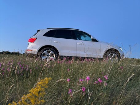 2013 Audi Q5 I (8R) Рестайлинг, белый, 2000000 рублей, вид 4