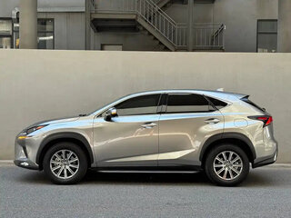 2020 Lexus NX 200 I Рестайлинг, серый, 3200000 рублей, вид 5