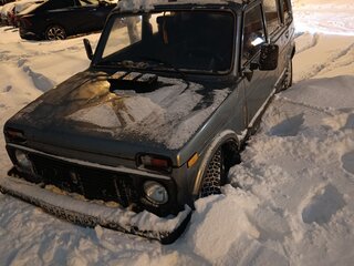 2005 Lada (ВАЗ) 2131 (4x4) Бронто-213102 I, серый, 165000 рублей, вид 4