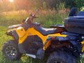 2018 Stels ATV-800 Guepard Trophy, жёлтый, 589000 рублей - вид 3