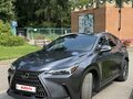 2022 Lexus NX 250 II, серый - вид 2