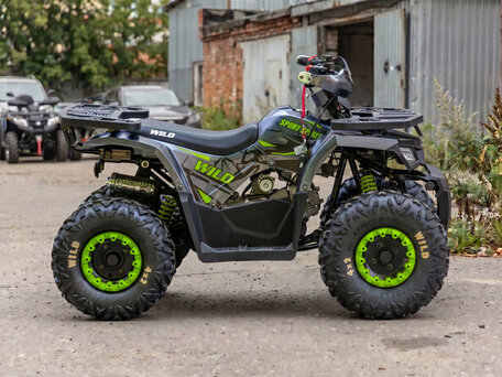 2026 Motoland Wild 125, белый, 105800 рублей, вид 2
