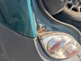 2001 Ford KA I, зелёный, 50000 рублей, вид 3