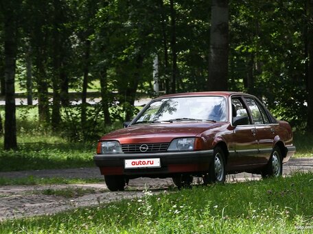 1983 Opel Rekord E, пурпурный, 590000 рублей, вид 1