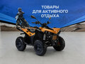 2026 Cectek KINGCOBRA, жёлтый