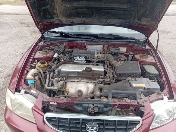 2008 Hyundai Accent ТагАЗ II, красный - вид 11